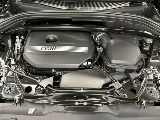 2024 BMW X2 照片 12