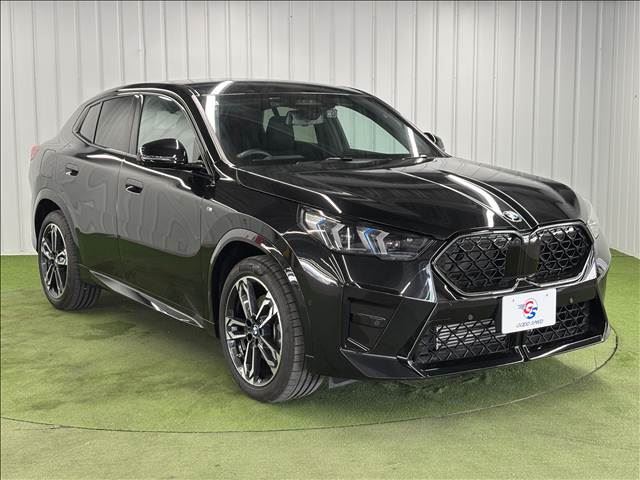 2024 BMW X2 照片 16