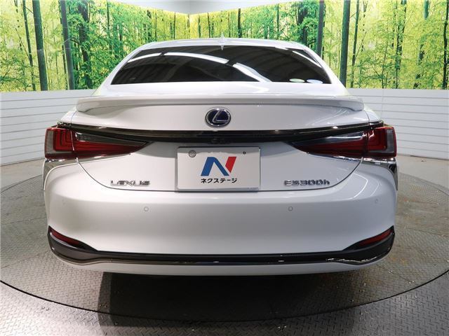 2020 Lexus ES photo 10