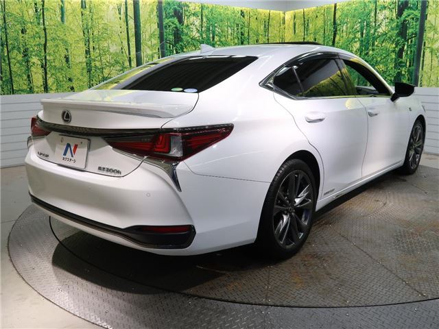 2020 Lexus ES photo 9