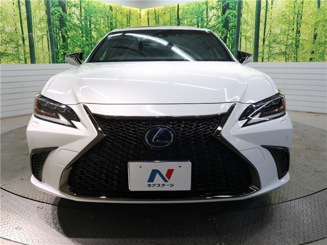 2020 Lexus ES photo 5