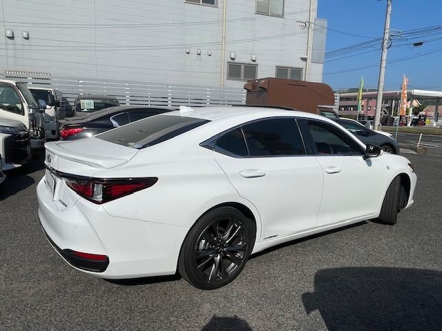 2019 Lexus ES thumbnail 12