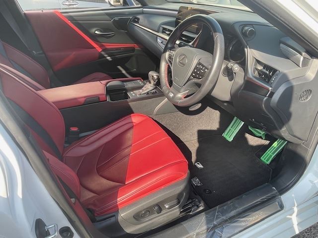 2019 Lexus ES thumbnail 15