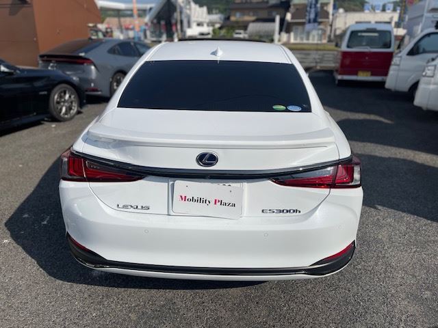 2019 Lexus ES thumbnail 13