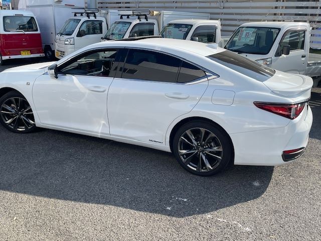 2019 Lexus ES thumbnail 11