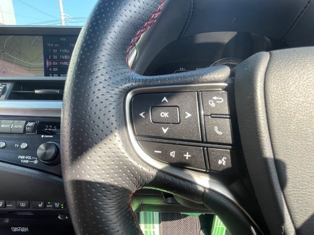 2019 Lexus ES thumbnail 24