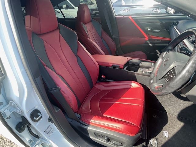 2019 Lexus ES thumbnail 31