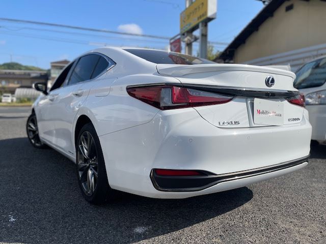 2019 Lexus ES photo 10