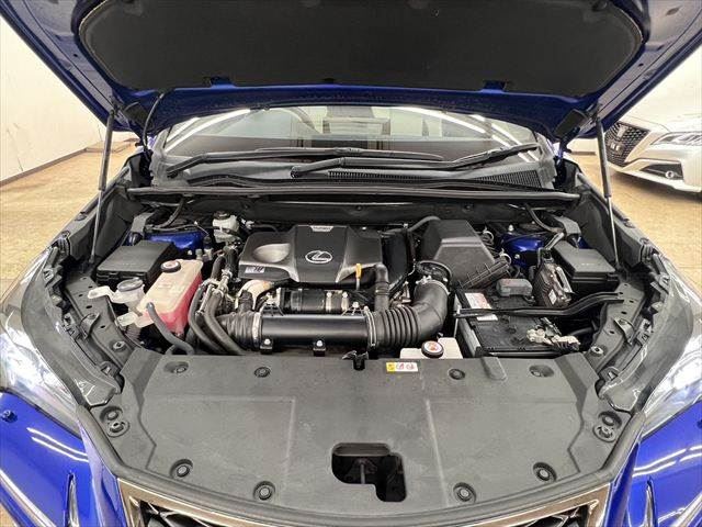 صورة مصغرة 33 لـ 2019 Lexus NX
