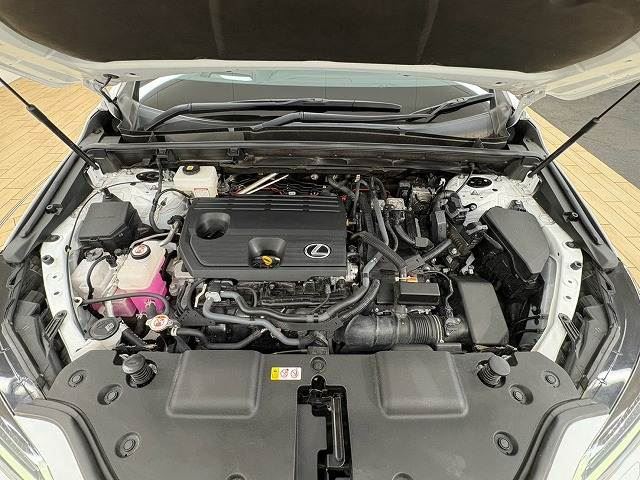 صورة 14 لـ 2022 Lexus NX