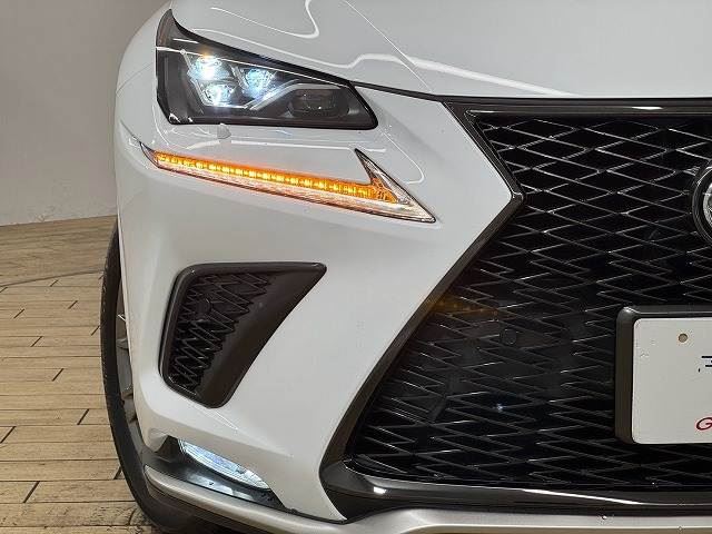 صورة مصغرة 19 لـ 2021 Lexus NX
