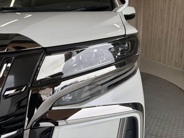 2022 Toyota ALPHARD — миниатюра 24