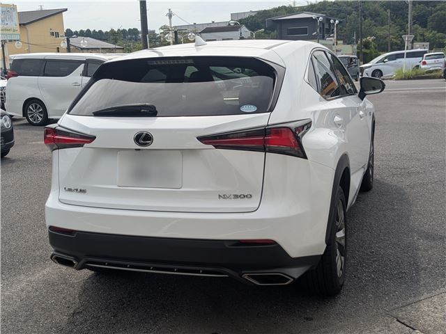 صورة 9 لـ 2018 Lexus NX