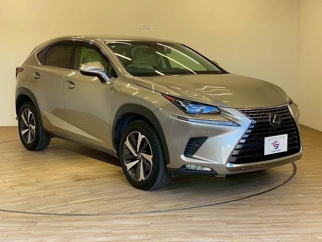 صورة 14 لـ 2017 Lexus NX