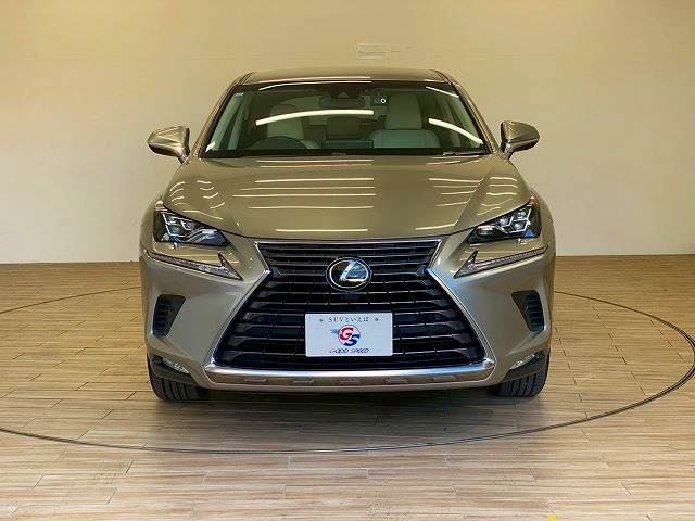 صورة 13 لـ 2017 Lexus NX