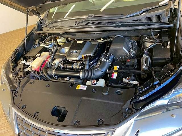 صورة مصغرة 20 لـ 2017 Lexus NX