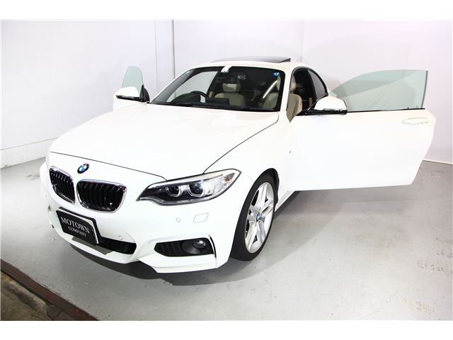 2014 BMW 2 SERIES COUPE — миниатюра 43