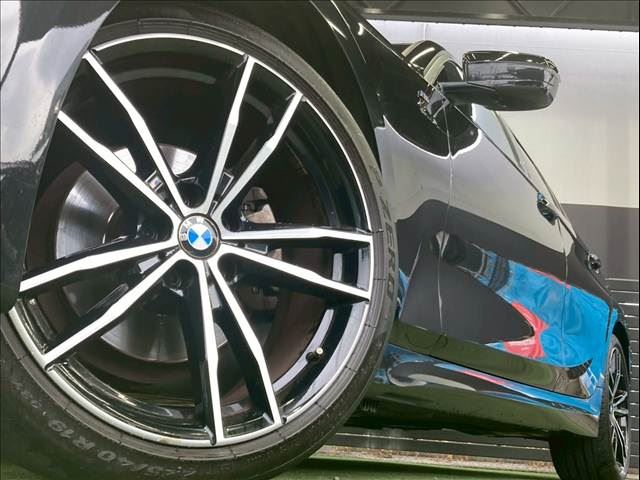 2019 BMW 3 SERIES TOURING 缩略图 19