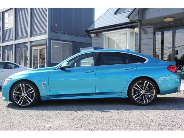 2018 BMW 4 SERIES GRAN COUPE — миниатюра 24