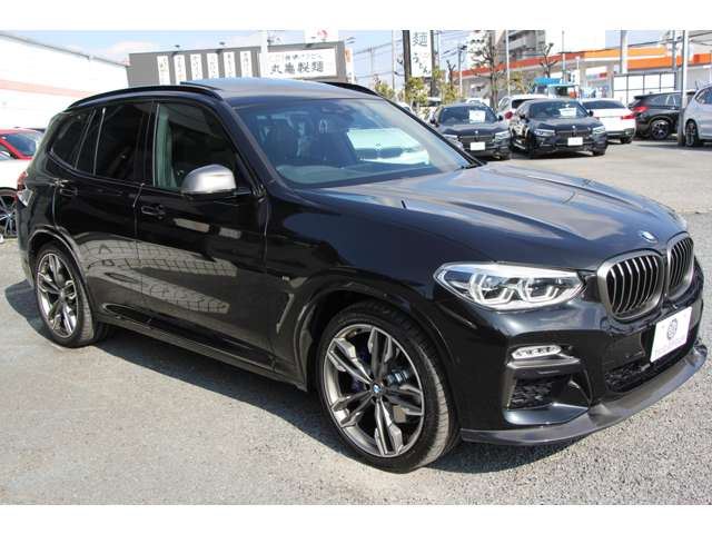 2018 BMW X3 — миниатюра 32