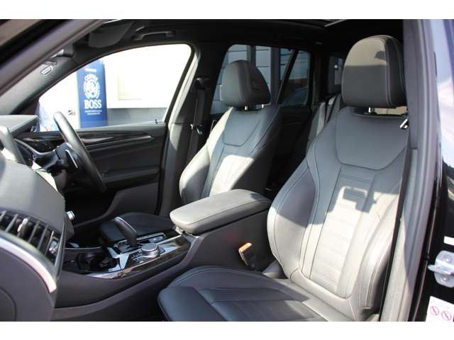 2018 BMW X3 — миниатюра 39