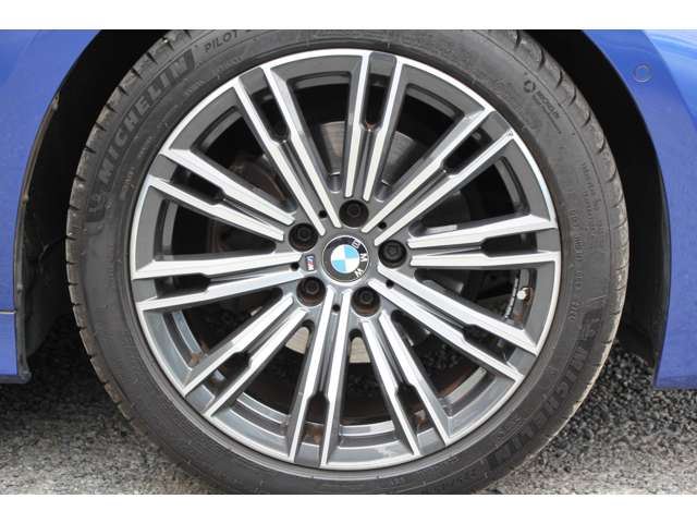 2019 BMW 3 SERIES TOURING 缩略图 12
