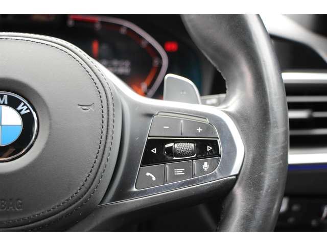 2019 BMW 3 SERIES TOURING 缩略图 48