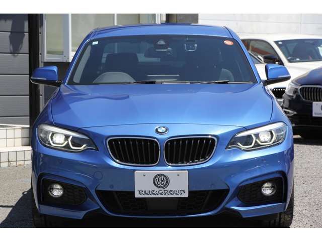 2017 BMW 2 SERIES COUPE — миниатюра 22