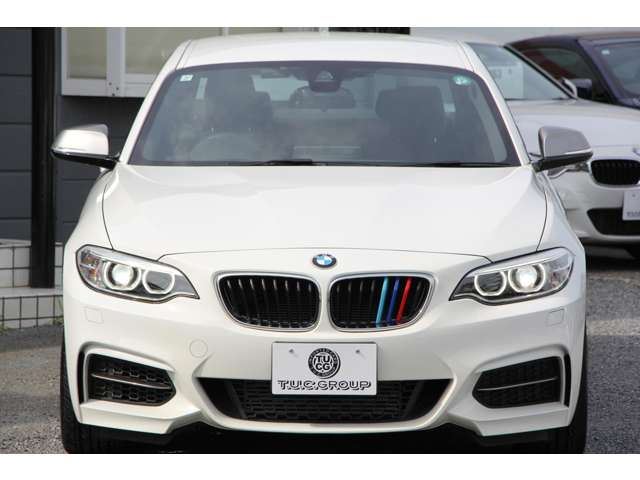 2015 BMW 2 SERIES COUPE — миниатюра 20