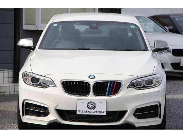 2015 BMW 2 SERIES COUPE — миниатюра 23