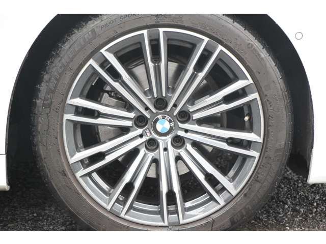 2022 BMW 3 SERIES TOURING 缩略图 22