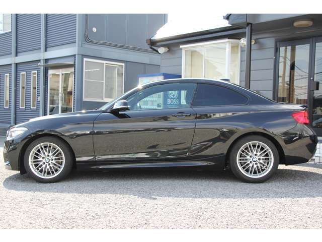 2018 BMW 2 SERIES COUPE — миниатюра 19