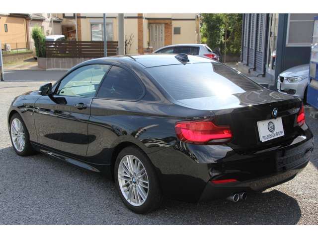 2018 BMW 2 SERIES COUPE — миниатюра 20