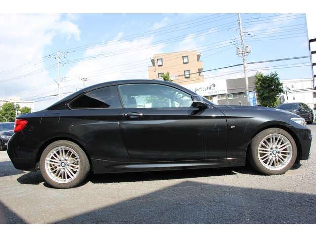 2018 BMW 2 SERIES COUPE — миниатюра 24