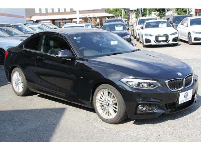 2018 BMW 2 SERIES COUPE — миниатюра 25