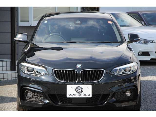 2018 BMW 2 SERIES COUPE — миниатюра 26