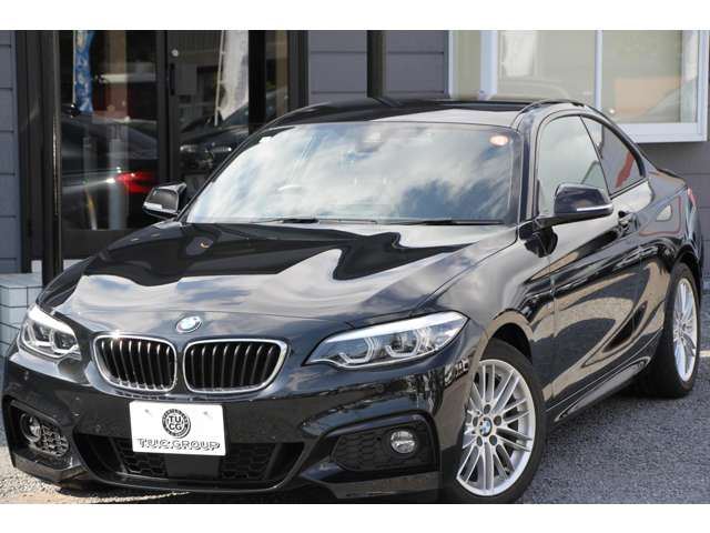2018 BMW 2 SERIES COUPE — миниатюра 28
