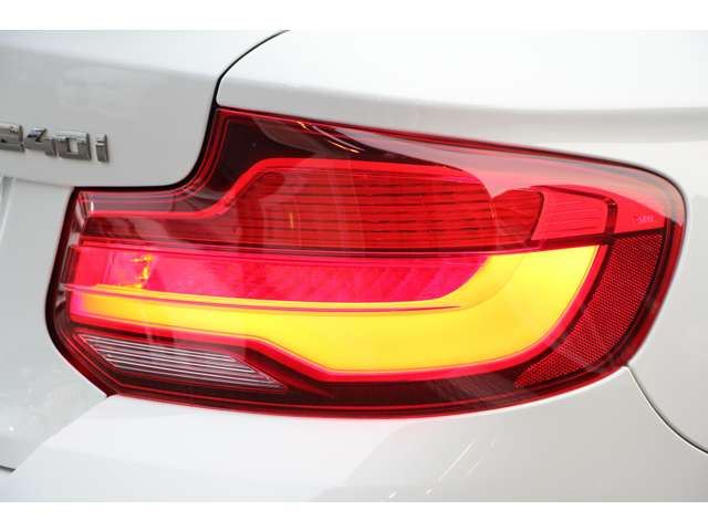 2018 BMW 2 SERIES COUPE — миниатюра 19