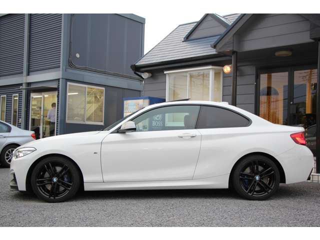 2018 BMW 2 SERIES COUPE — миниатюра 23