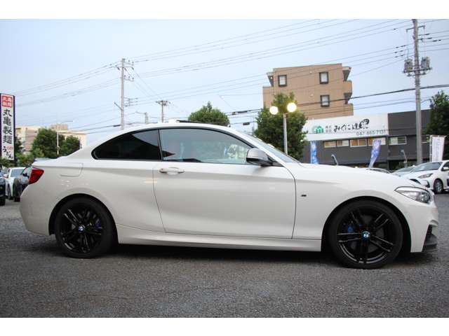 2018 BMW 2 SERIES COUPE — миниатюра 28