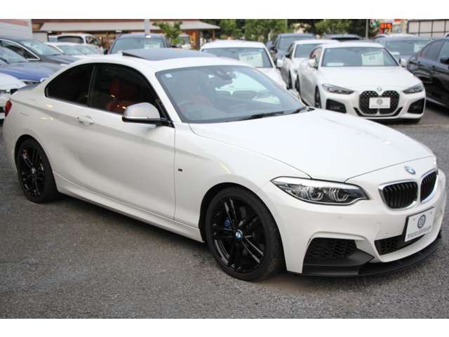 2018 BMW 2 SERIES COUPE — миниатюра 29