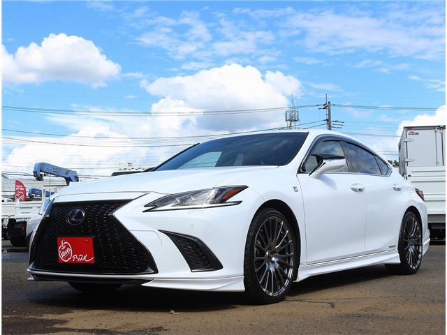 2018 Lexus ES photo 1