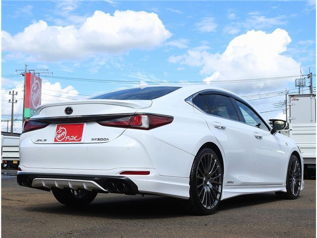 2018 Lexus ES photo 2