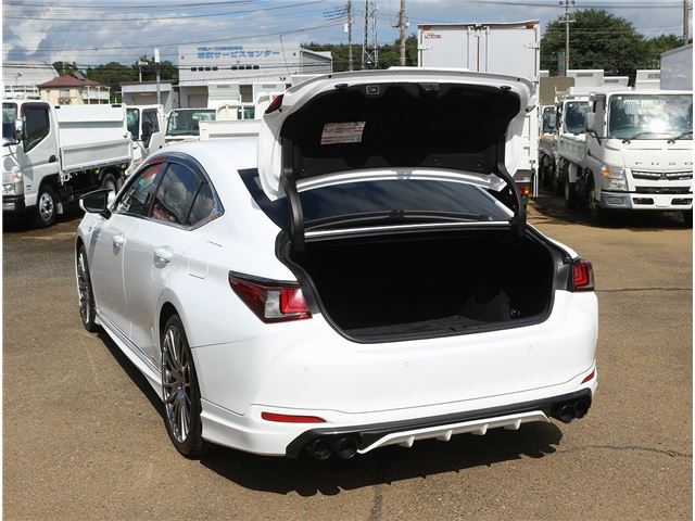 2018 Lexus ES thumbnail 45