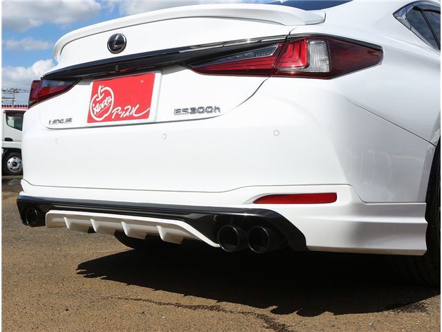 2018 Lexus ES thumbnail 59