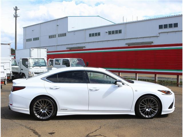 2018 Lexus ES thumbnail 70