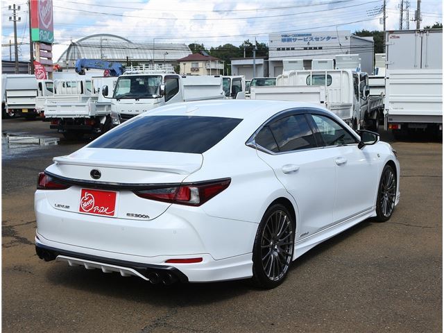 2018 Lexus ES thumbnail 71