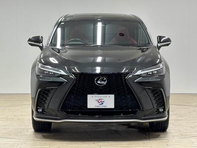 2023 Lexus NX — миниатюра 15