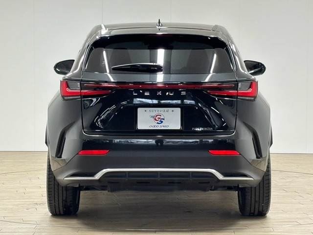 2023 Lexus NX — миниатюра 16