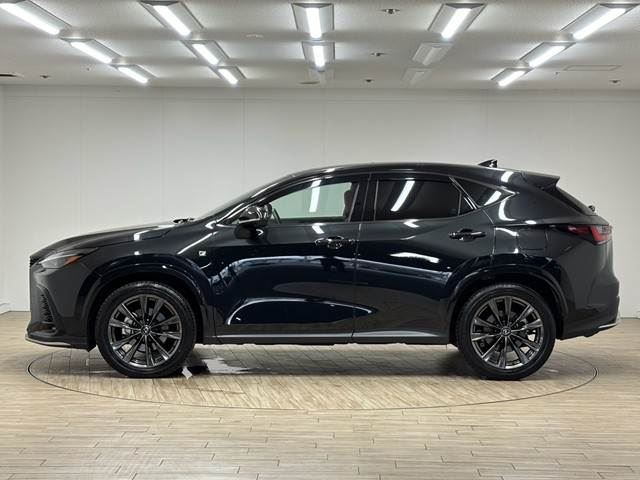 2023 Lexus NX — миниатюра 17